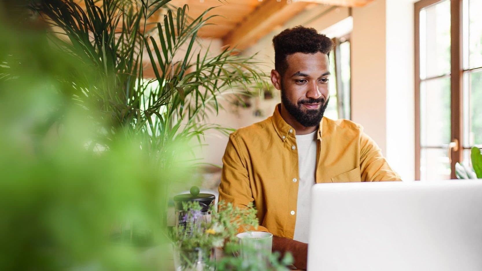 Ein Mann sitzt in einem hellen Raum mit vielen Pflanzen vor einem Laptop und arbeitet konzentriert.